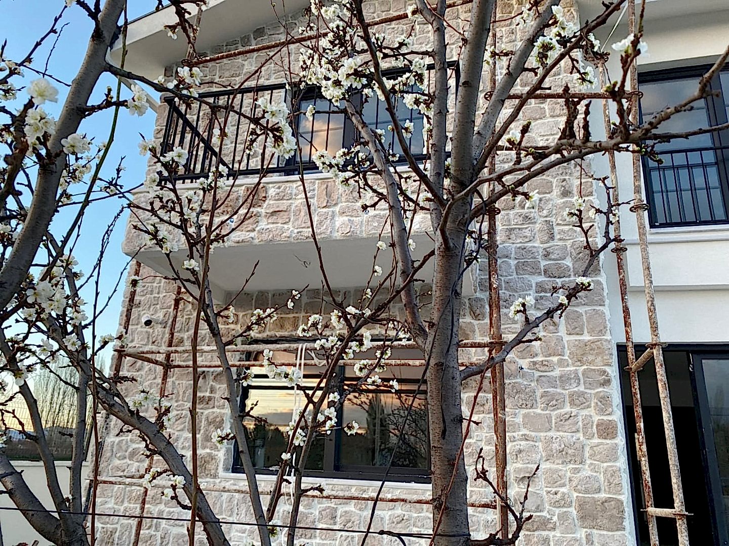 Dış Cephe