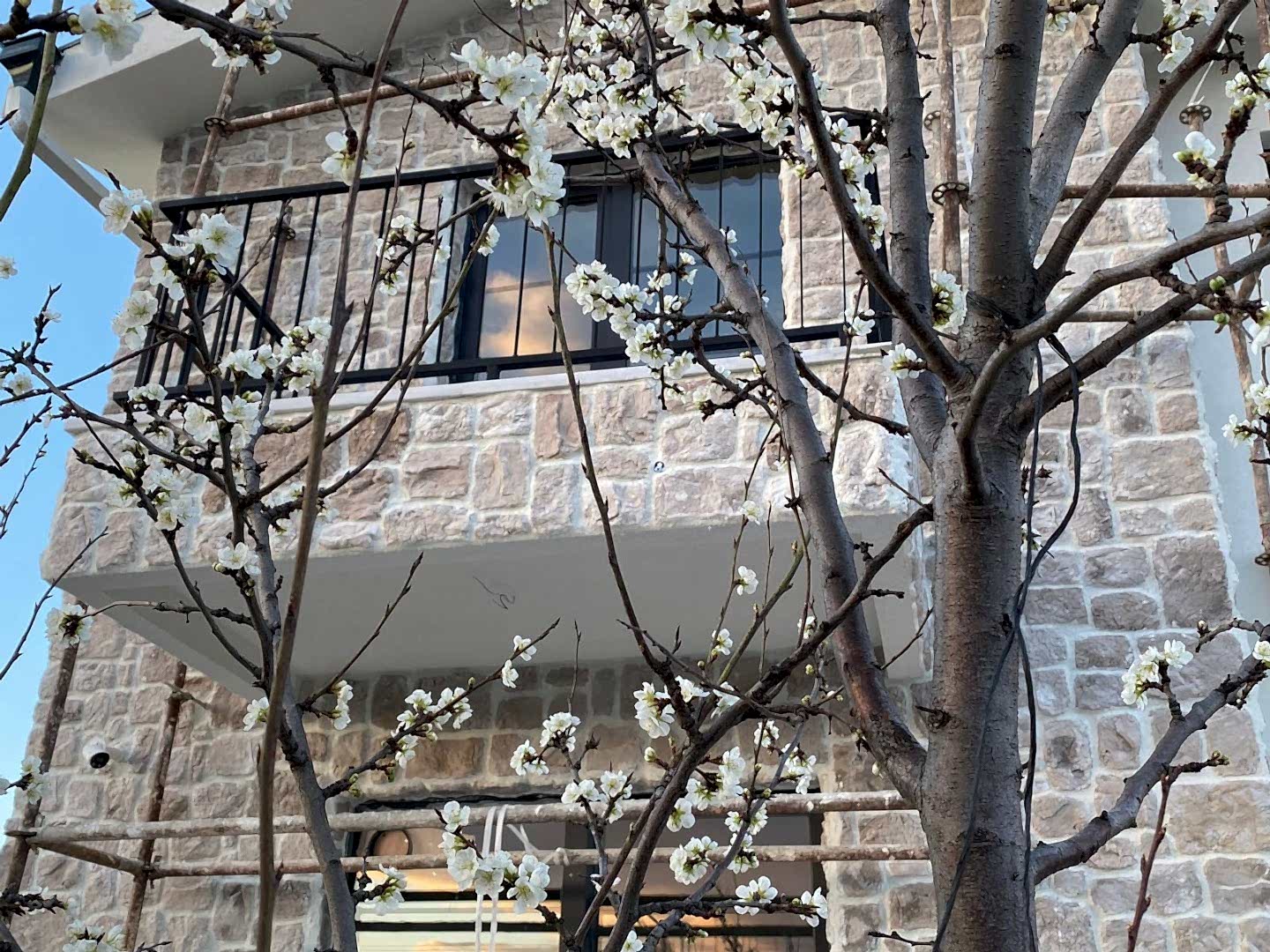 Dış Cephe