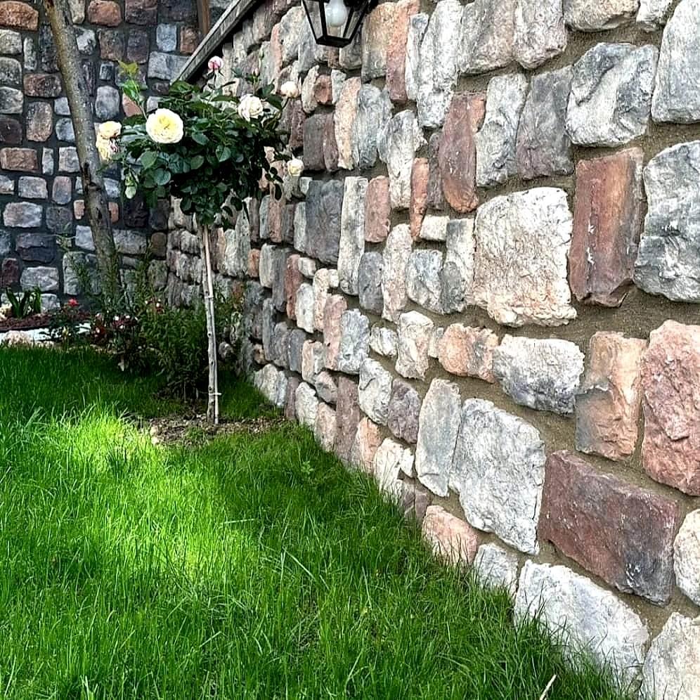 Dış Cephe